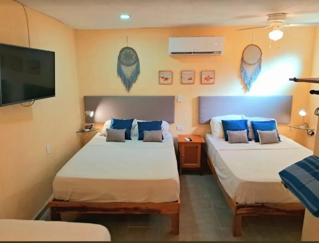 Cozy North Zone Apartment - Isla Mujeres Mexico