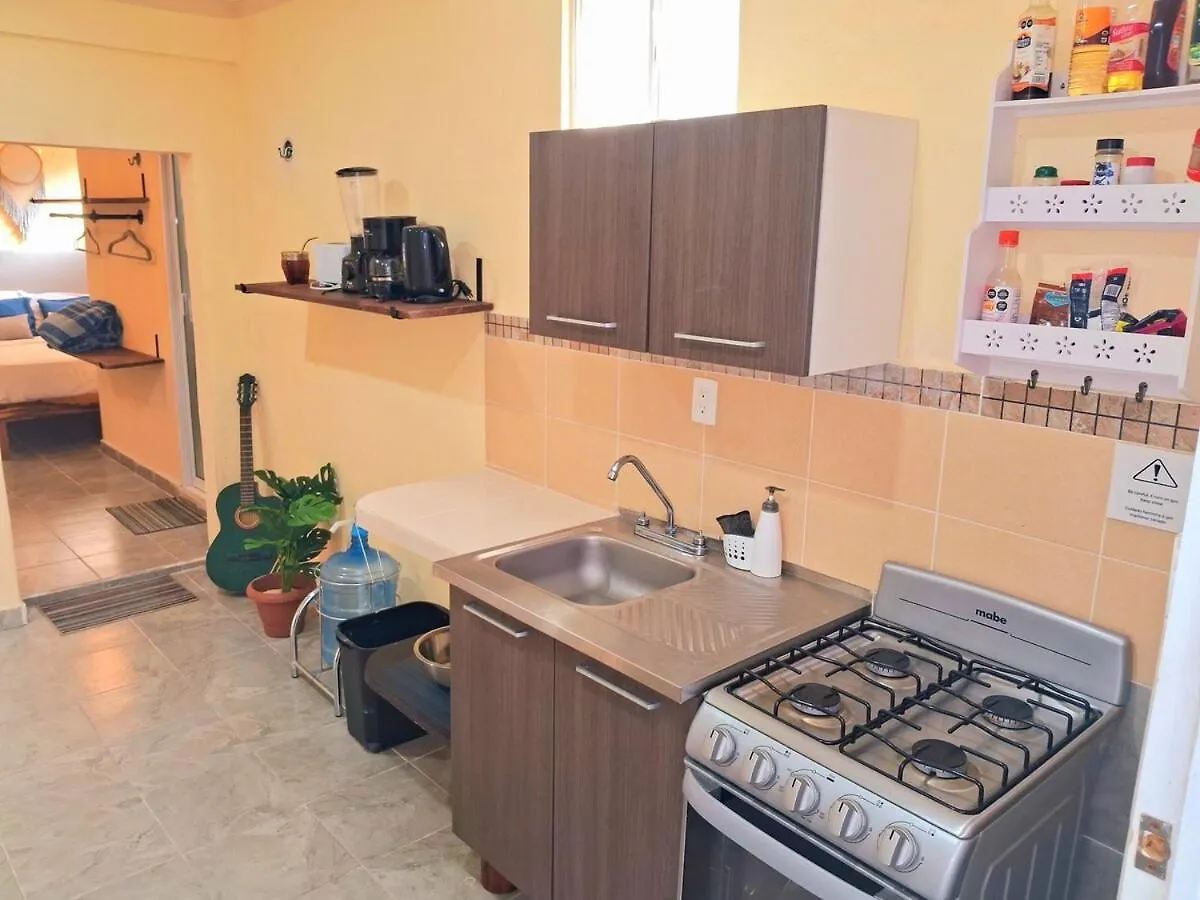 Cozy North Zone Apartment - Isla Mujeres